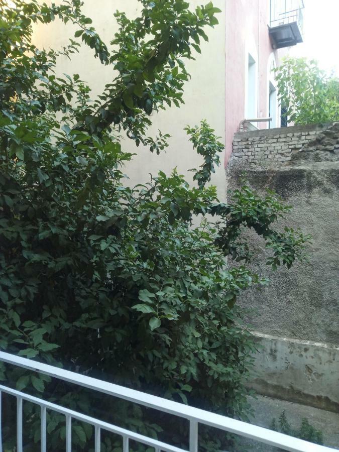 New Apartment With A Separate Entrance Near The Subway. 雅典 外观 照片